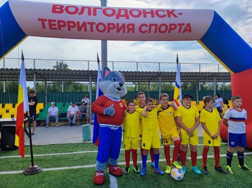 Региональный финал детского турнира «Кожаный мяч - школьная футбольная лига». Итоговые результаты.