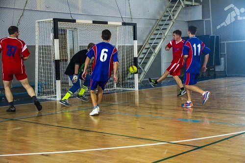 IMG_2291_500x333.jpg IMG_2291_500x333.jpg