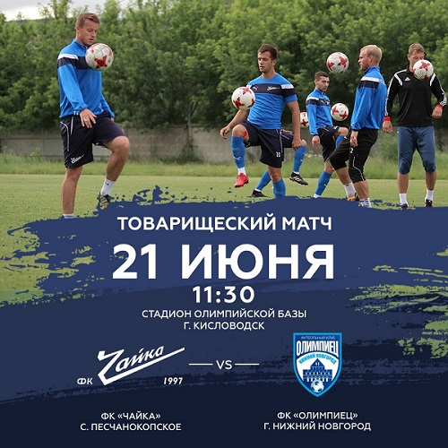 чайка.jpg